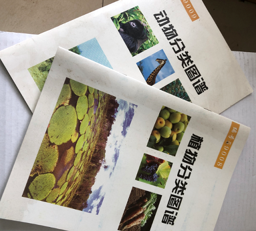 动物、植物分类图谱